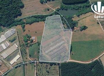 e8fc5fb8acd6e101eb702d1124d9aec86c7e67e7 · SÍTIO PRODUTIVO À VENDA – 60.000 m² – GRANJA DE FRANGO INTEGRADA A FRIGORÍFICO!