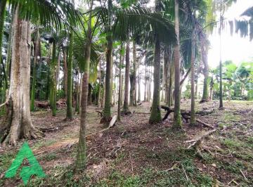 Terreno · 450m² · Ótimo terreno à venda, no Bairro Itoupava Seca!