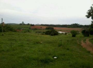 .jpg+2025-03-05 · Terreno para Venda - 0m², 0 dormitórios, Centro