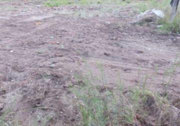 .jpg+2025-03-05 · Terreno para Venda - 0m², 0 dormitórios, Aberta Dos Morros