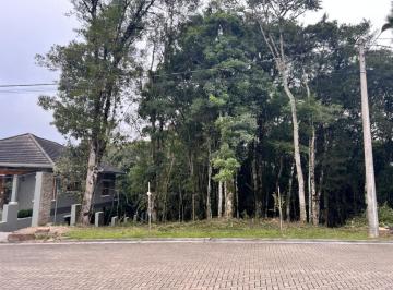 524179.jpg · Terreno - Bairro Carniel