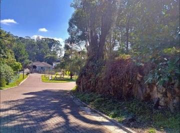 705635.jpg · Terreno - Bairro Carniel