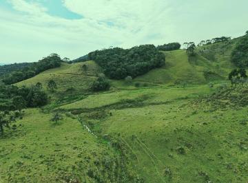 rqat012-1 · Sítio com riachos, cachoeira e escritura pública em Rancho Queimado/SC