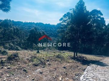 Terreno · 539m² · Lote em Rua Moinho Velho - São Bernardo - São Francisco de Paula/RS