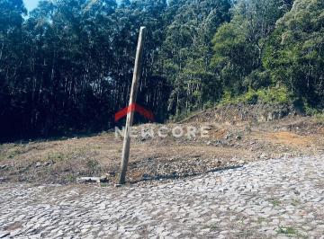 Terreno · 588m² · Lote em Rua Moinho Velho - São Bernardo - São Francisco de Paula/RS