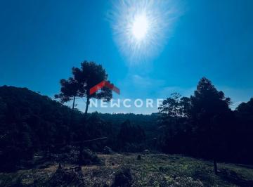 Terreno  Venda R$ 189.800 · Lote em Rua Moinho Velho - São Bernardo  - São Francisco de Paula/RS