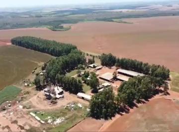 Rural de 3 quartos, Uruguai · Fazenda 11.000 Hectares em Pedro Juan Caballero e Canindeyú, Paraguai, duzentos milhoes de dolares