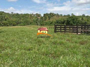 20220810140318474111.jpeg · Fazenda para Venda em Miranorte, ampla expansão agropecuária