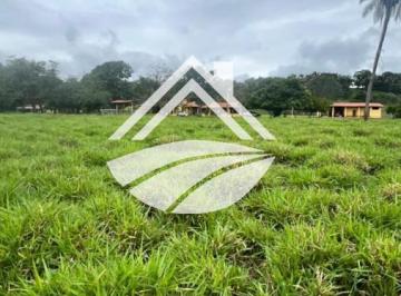 20260609092023773.jpeg · Fazenda para Venda em Barrolândia, ampla expansão agropecuária