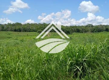 202604160956007302.jpeg · Fazenda para Venda em Santa Maria do Tocantins, agropecuária em expansão