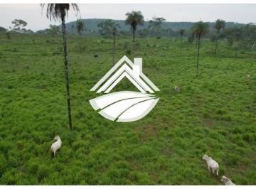 202501312108066015.png · Fazenda para Venda em Araguaína, ampla expansão agropecuária