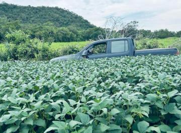 20240515160958372525.jpg · Fazenda para Venda em Goiatins, Região muito produtiva