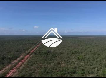 202505071046484902.png · Fazenda para Venda em São Luís, MATOPIBA