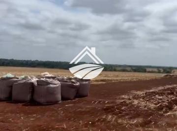 202510041632294997.png · Fazenda para Venda em Imperatriz, ampla expansão agropecuária