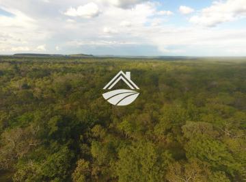 202505021105151949.jpg · Fazenda para Venda em Barão de Grajaú, Área rural com expansão consolidada