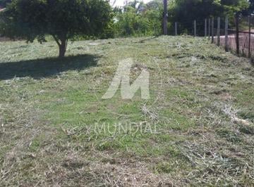 Terreno/Lote · Área (Área)