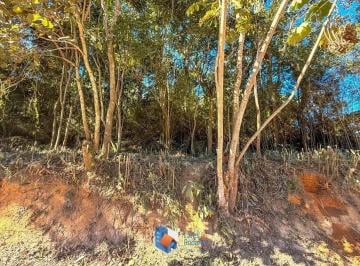 Terreno · 2930m² · Terreno em Tanque Caio, Ribeirão Pires/SP de 2930m² à venda por R$ 290.000,00