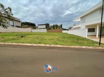 Terreno · 495m² · 1 Quarto · Terreno em Centro, Ribeirão Preto/SP de 495m² 1 quartos à venda por R$ 1.100.000,00