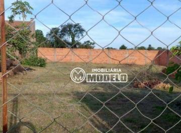4bc49dce8cd909ae003a6d9ab8cfcef79e2cc497 · Terreno à venda, 500 m² por R$ 170.000,00 - Pau D'Alhinho - Piracicaba/SP