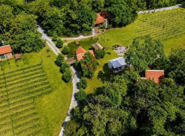 6b7b5eb1f529f7a517fd2d62390c3e882f60beb4 · Sítio com Cabanas à Venda em Gramado!