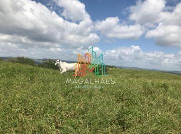 Rural · 100m² · 3 Quartos · 5 Vagas · Fazenda à venda em Passira/PE