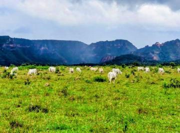 Rural , Recursolândia · VENDO FAZENDA 3.417 NO TOCANTINS