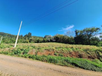 Terreno · 10000m² · Área para sítio em Coblens - Carlos Barbosa