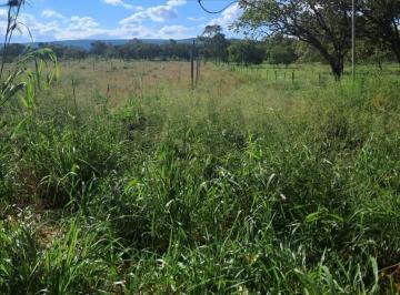 fazenda-sitios-chacaras-em-felixlandia-mg-no-bairro-zona-rural-imovel448039-img6a948d1339fa0.jpg · Fazenda / Sítios / Chácaras à venda em Felixlândia, no bairro Zona Rural