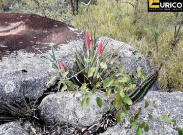 Foto 01 · Terreno à venda no Parque Valinhos em Valinhos/SP