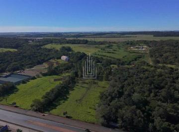 Terreno · 140000m² · Área à venda em Foz do Iguaçu (Bairro Mata Verde) – 140.000 m²