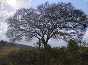 Foto 01 · TERRENO DE 30.000m2 C/ ÁGUA E LINDA VISTA À VENDA EM PIEDADE DOS GERAIS/MG