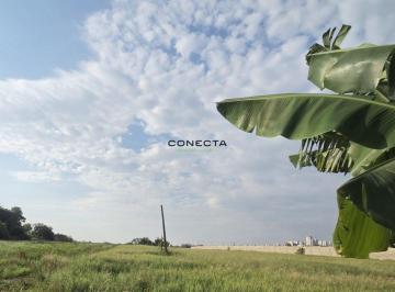 11101_i6T4Bs5V8628Z7pVz_111016a91e9fb3ce7c.jpg · Terreno Comercial | Gleba Esperança | Zona Zul
