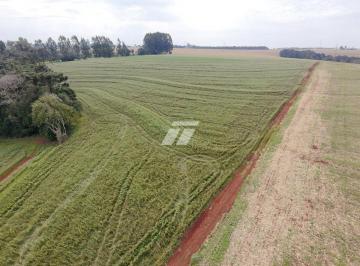 Imagem 1 · Sítio para venda em Cascavel