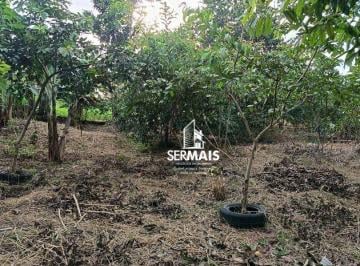Imagem 1 · Chácara para venda em Candeias do Jamari