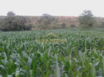 Imagem 1 · Fazenda para venda em Centro, Santa Fé de Minas