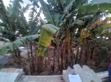 Imagem 1 · Terreno para venda em Bom Jesus, Belo Horizonte