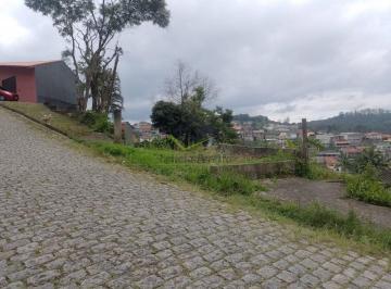 e2c2c75bba60fb328be9da119882fc80d857f797 · Terreno à venda, 1035 m² por R$ 500.000,00 - Santa Luzia - Ribeirão Pires/SP