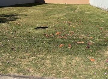 ede9482dbda76ce7281877b4bcc7bff16d8ebe7d · Terreno à venda, 275 m² por R$ 650.000,00 - Condomínio Ibiti Royal Park - Sorocaba/SP