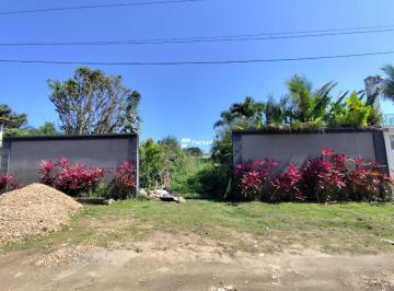 1ec0fe073e49a4731dd7387e4a608dfddb30ae41 · Terreno à venda, 600 m² por R$ 500.000,00 - Balneário Praia do Pernambuco - Guarujá/SP