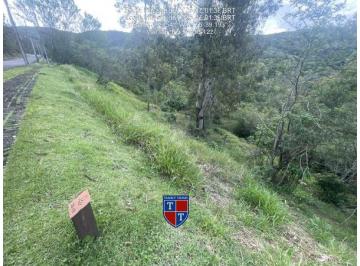 Foto 1 · R$ 123.837,46 - Terreno - RS - VIAMAO - SANTA ISABEL