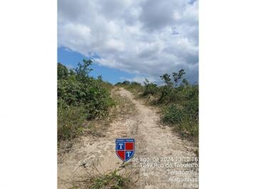 Foto 1 · R$ 560.071,81 - Terreno - BA - ALAGOINHAS - NOVA BRASILIA