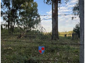 Foto 1 · R$ 57.500,90 - Terreno - RS - ELDORADO DO SUL - LOT RURAL ELDORADO