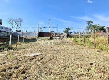 0 · terreno á venda e para aluguel em Vila Paraíso