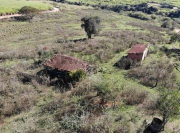 Terreno · 54719m² · 1 Quarto · Terreno para venda em Centro de 54719.00m² com 1 Quarto