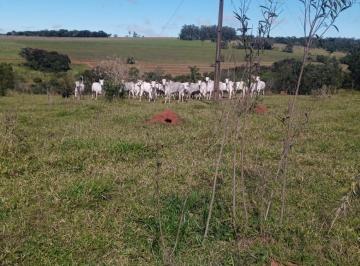 Foto 01 · Sítio/Fazenda à Venda, 42 alqueires por R$ 10.500.000 Cód. ch2828