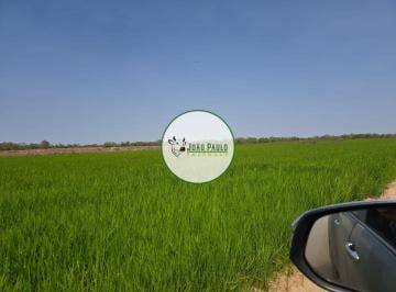 Rural , Flores de Goiás · Fazenda a venda em Flores- GO - 2.433 Hectares - 1.000 hectares IRRIGADOS