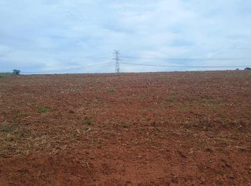 Rural , Artur Nogueira · Sitio 20.000 metros Artur Nogueira, próximo cidade, 300 metros asfalto, aceito carro negócio estudo