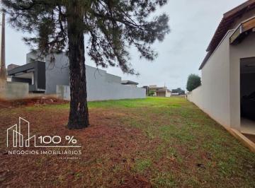 Foto 01 · Terreno, Fazenda Palhinha (zona Rural), São José do Rio Preto, SP