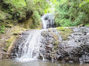 Rural de 2 quartos, São Francisco de Paula · Sítio em São Francisco de Paula/RS com rio e cachoeira – DE R$490MIL POR R$330MIL