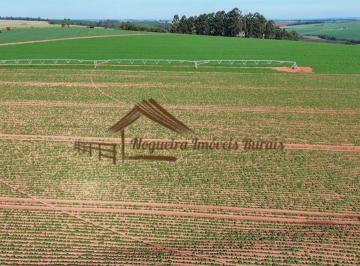Rural , Paranapanema · Fazenda à venda com 87 alqueires na região de Paranapanema-SP